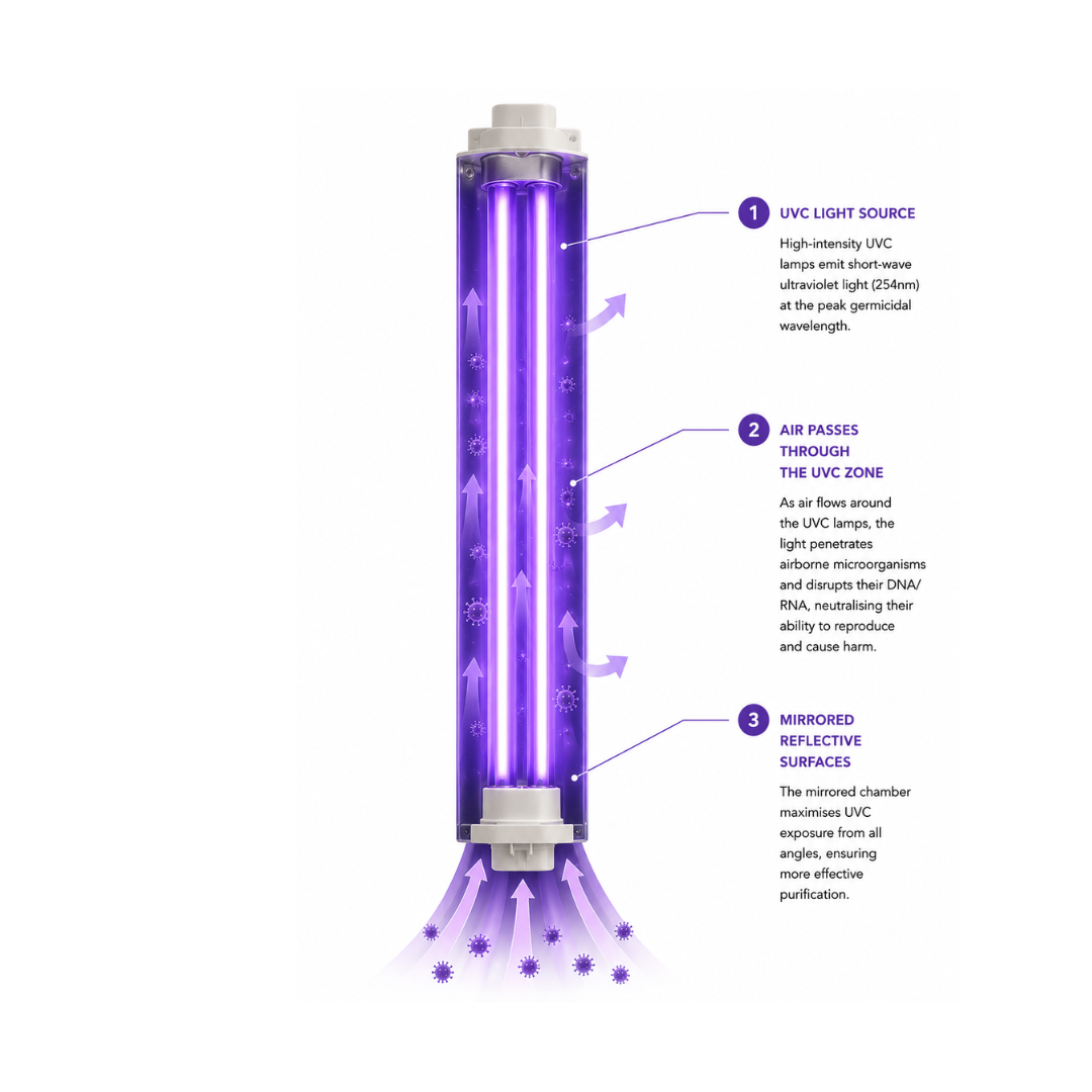 Diagram of the enclosed Sterillo UVC lamp chamber and mirrored reflective surfaces